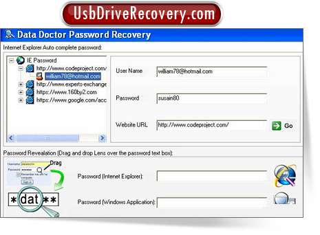 Internet Explorer Password Recovery and Unmask Software Screenshot